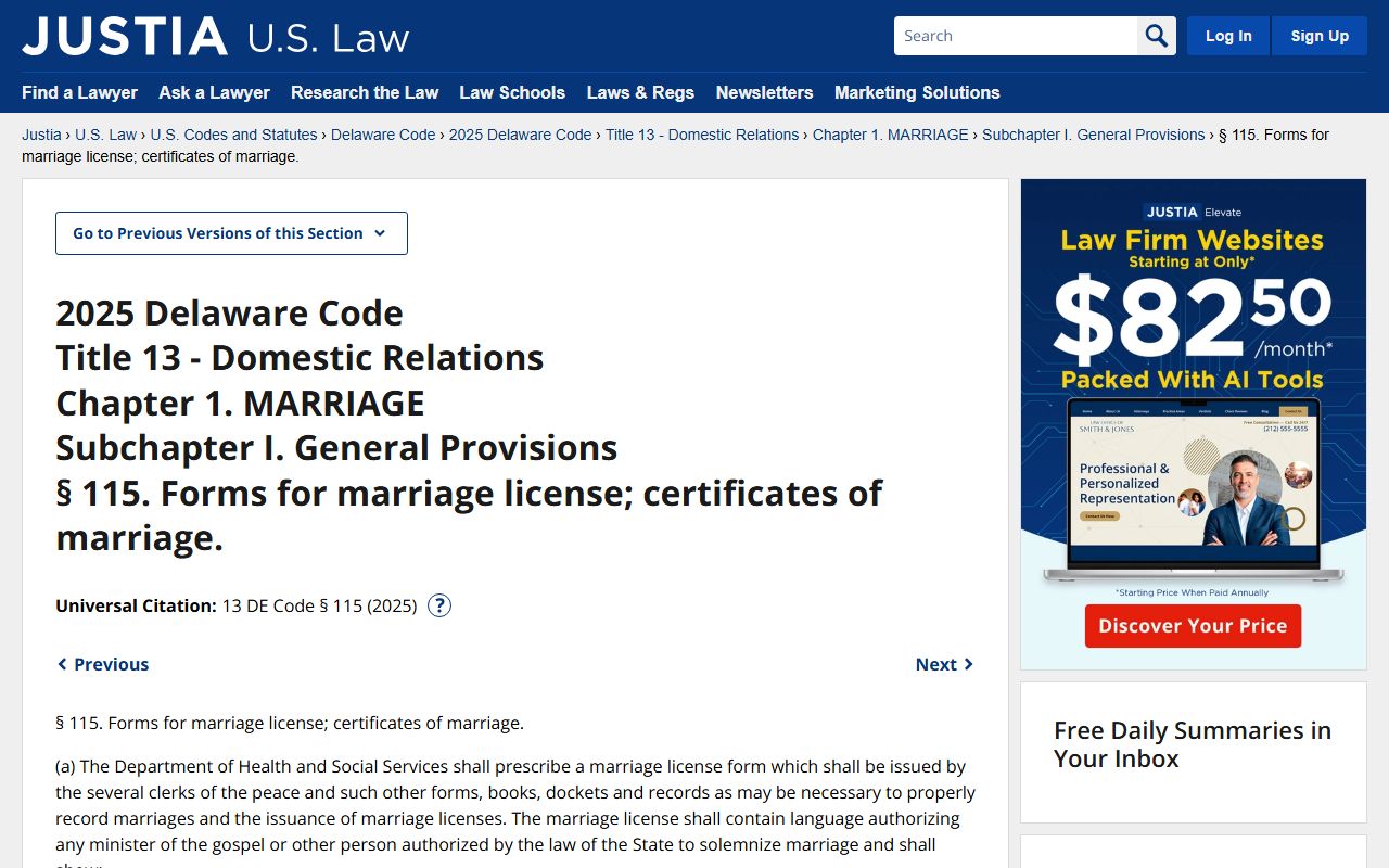 Delaware Code Section 115 marriage license form requirements